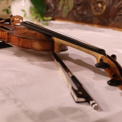 Violine