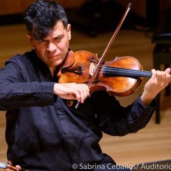 Viola